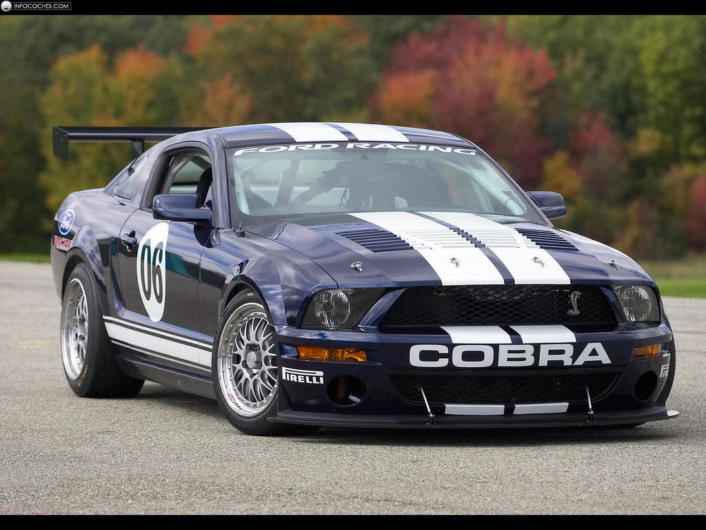 2006 Ford Mustang FR500-GT